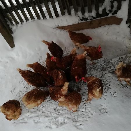 Haus Gell Hotel Mauterndorf  Zewnętrze zdjęcie